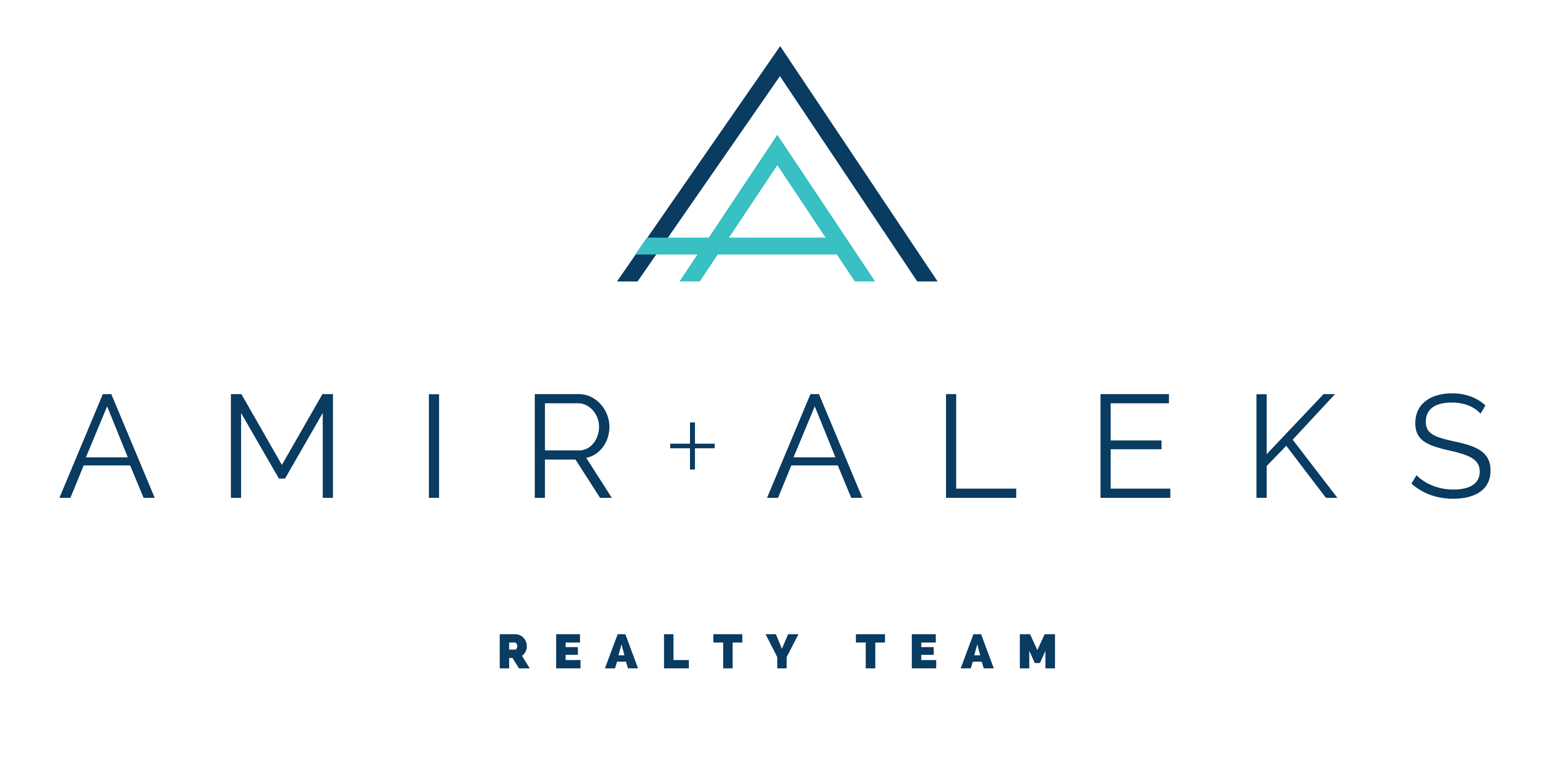 Amir_Aleks_Logo-01
